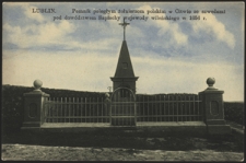 Lublin. Pomnik poległym żołnierzom polskim w Citwie ze szwedami pod dow&oacute;dztwem Sapiechy wojewody wileńskiego w 1656 r.