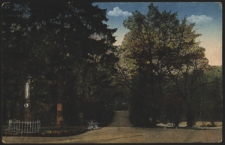 Lublin. Ogród Saski - Aleja główna