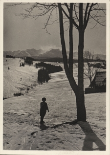 Tatry. Krajobraz z Bukowiny