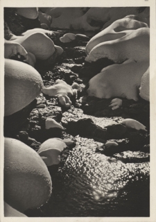 Tatry. Potok w Dolinie Strążyńskiej