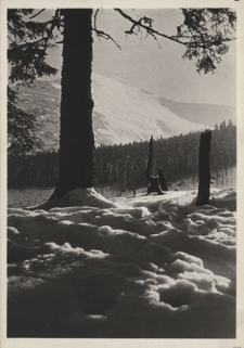 Tatry. Motyw zimowy z drogi na Halę Kondratową
