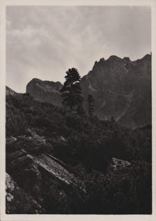 Tatry. Dolina Sucha Kasprowa