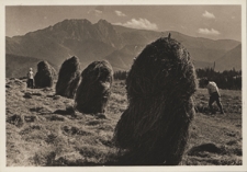 Tatry. Sianokosy pod Giewontem