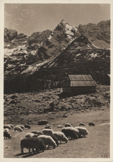 Tatry. Hala Gąsienicowa i Kościelec