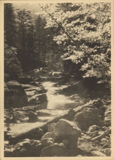 Tatry. Wiosna w Dolinie Strążyskiej