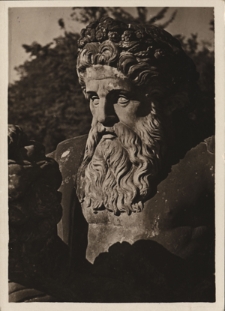 Warszawa. Łazienki, figura Neptuna, tors