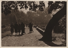 Warszawa. Łazienki, fragment parku