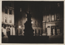 Lw&oacute;w w nocy. Fragment Rynku