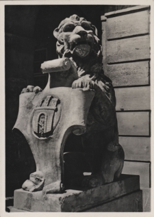 Lwów. Lew przed bramą ratusza