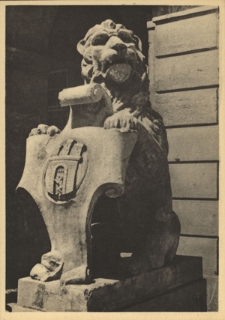 Lwów. Lew przed bramą ratusza