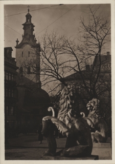 Lwów. Widok z Rynku na Katedrę Łac.