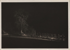 Lwów. Zaduszki na Cmentarzu Obrońców Lwowa