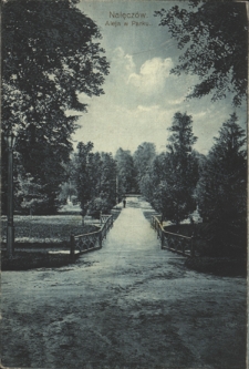 Nałęcz&oacute;w. Aleja w Parku