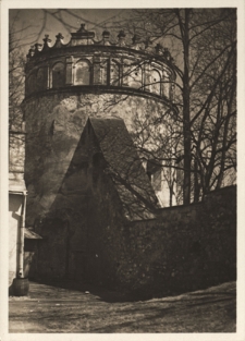 Przemyśl. Zamek. Fragment