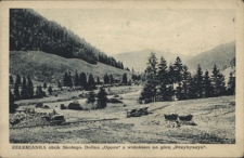 Zełemianka okob Skolego. Dolina "Oporu" z widokiem na g&oacute;rę "Przybyszyn"