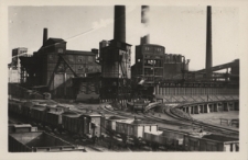 Trzyniec : Huty żelaza