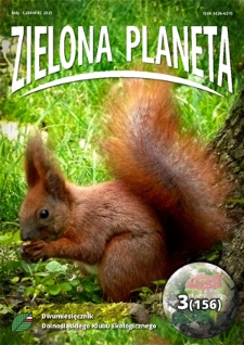 Zielona Planeta : dwumiesięcznik Okręgu Dolnośląskiego PKE. 2021, nr 3=154 (