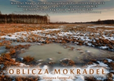 Wystawa „Oblicza mokradeł”